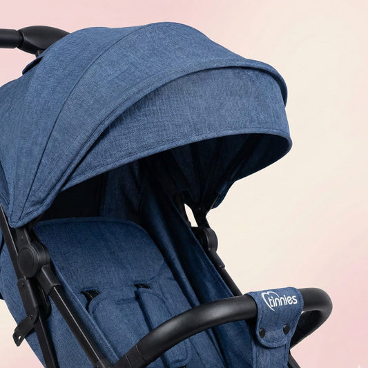 Tinnies Premium Blue Stroller